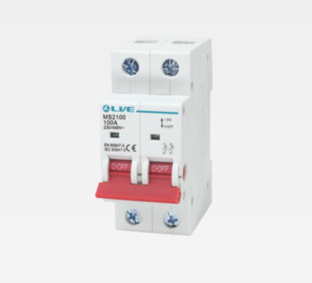 Live Electrical 100A DP Main Isolating Switch | MS2100
